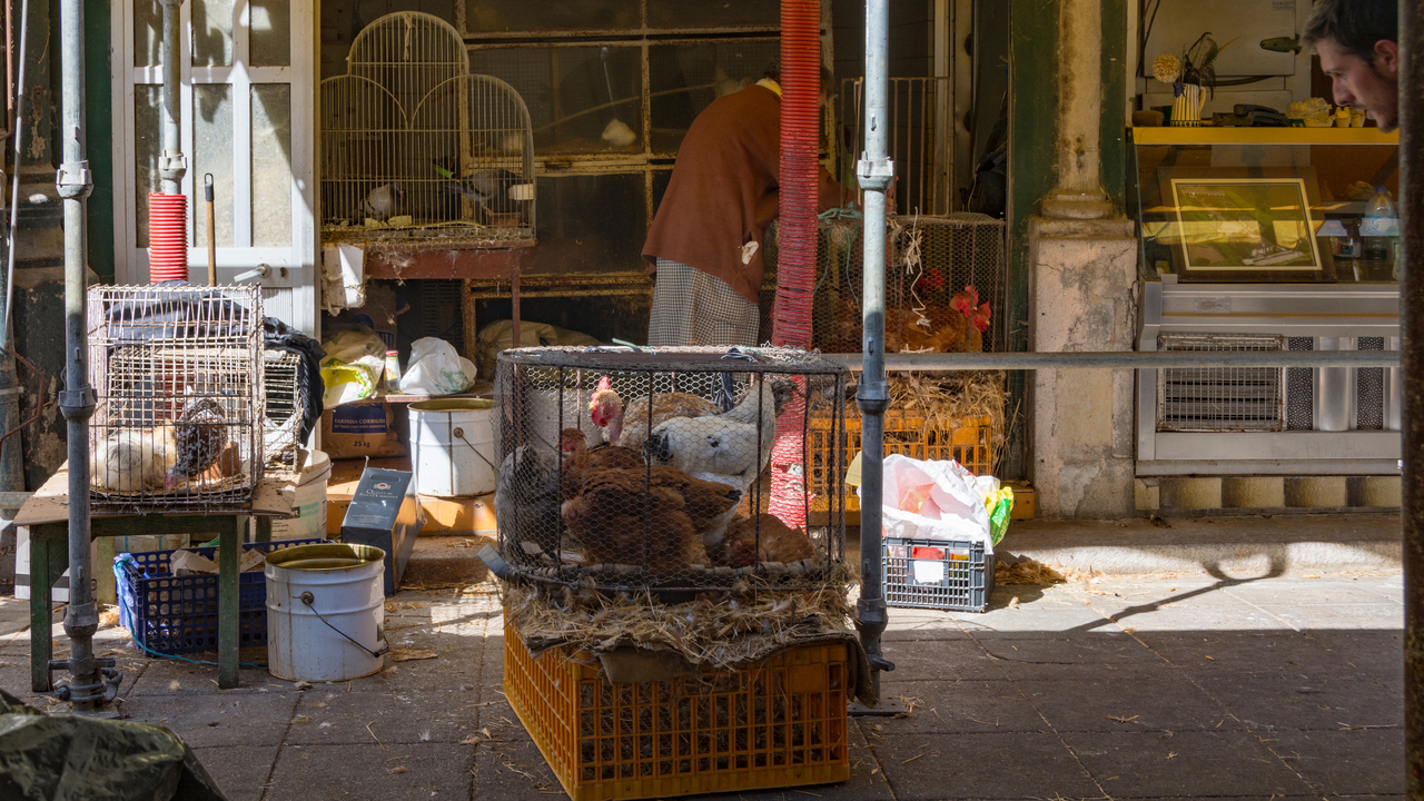 20170929 121131 , Porto, Porto, Portugal